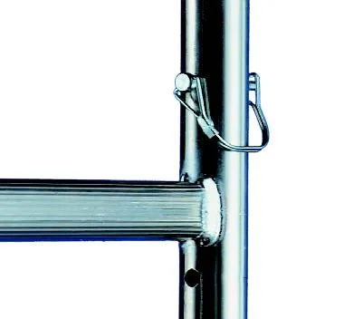 andromeda piolo.webp