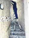 StellinaElite_2.webp