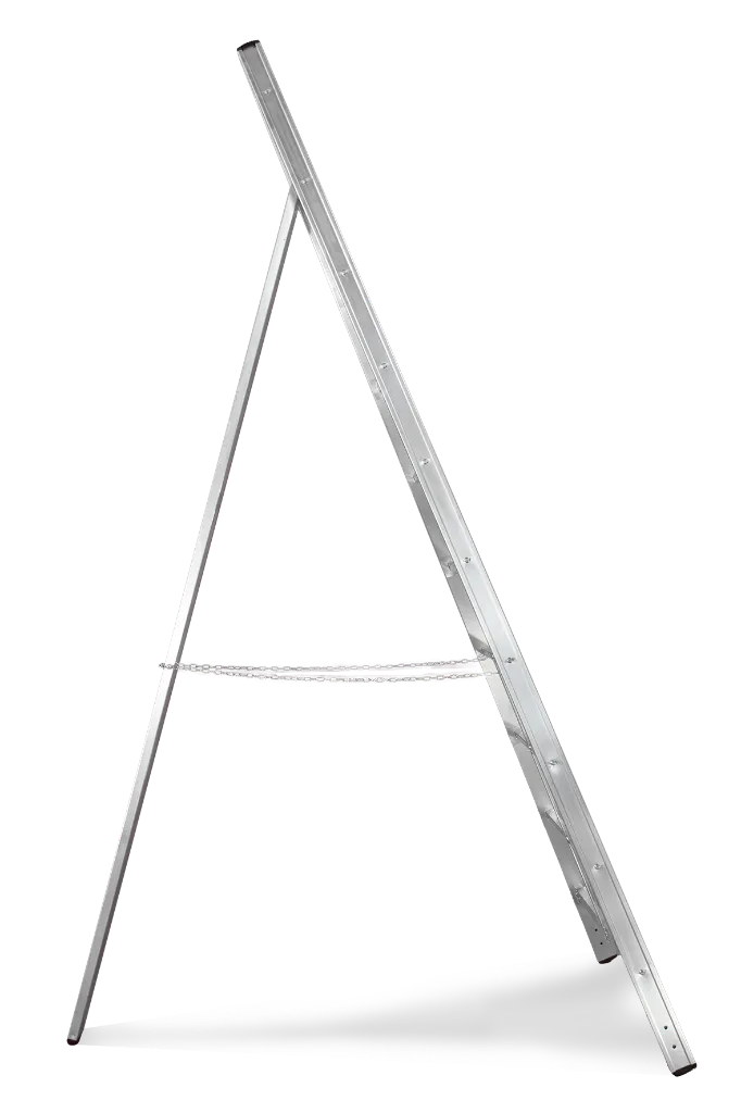 Vega_2.webp