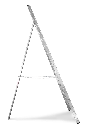Vega_2.webp